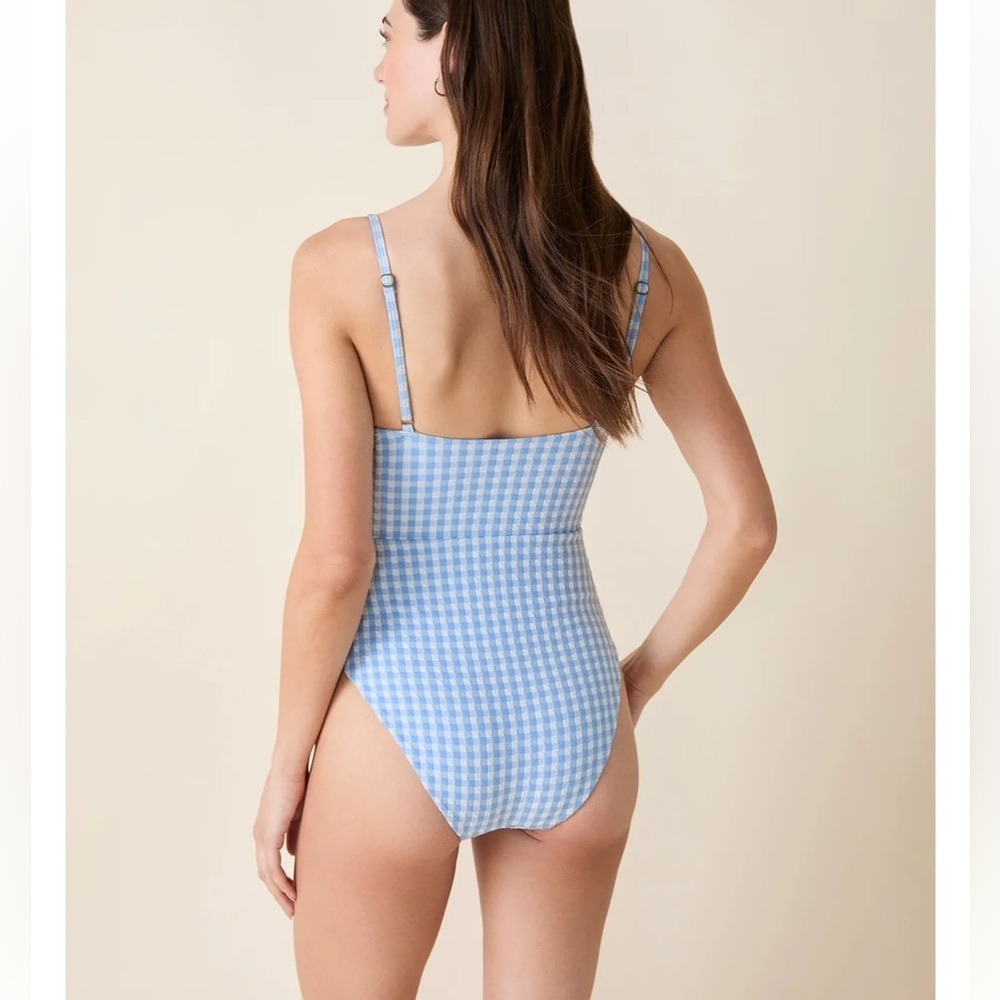Andie Light Blue Gingham One-Piece Swimsuit - Picture 4 of 10